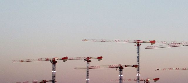 Cranes at dusk